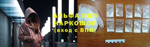 PSILOCYBIN Аркадак