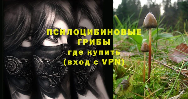 ALPHA PVP Алзамай