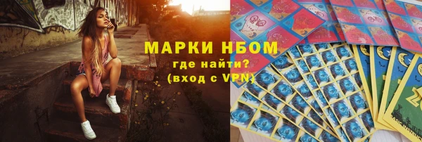 PSILOCYBIN Аркадак