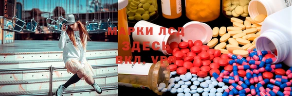 PSILOCYBIN Аркадак